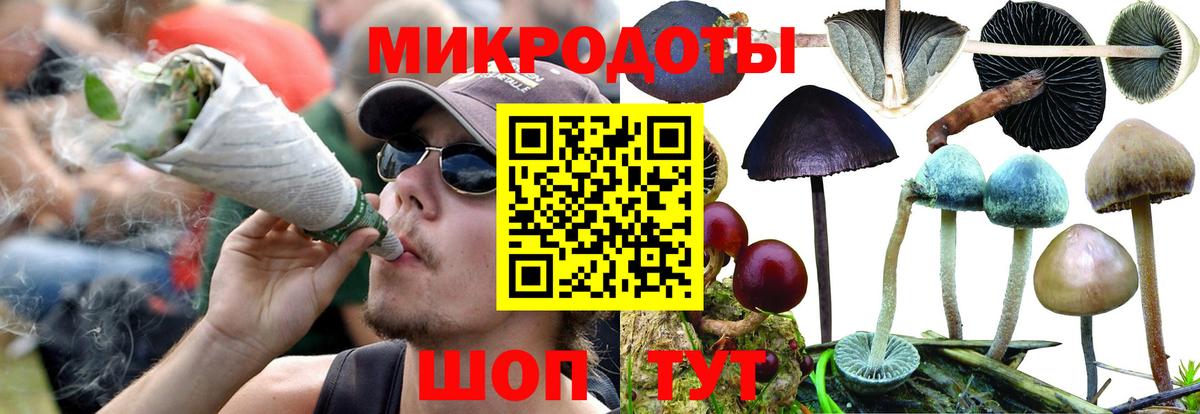 Псилоцибиновые грибы Magic Shrooms Гуково